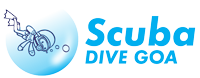 logo-scuba-dive-goa